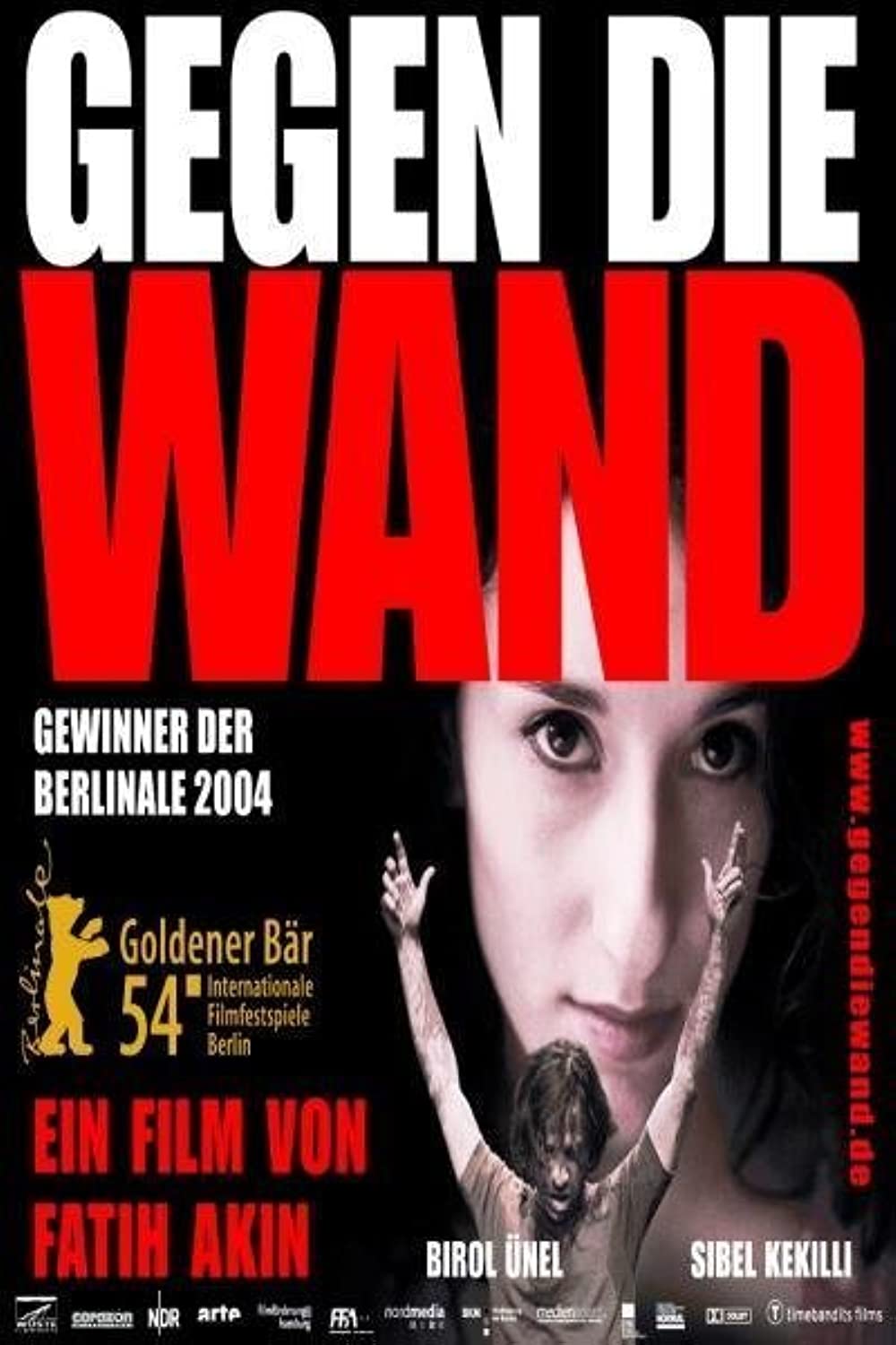 Filmbeschreibung zu Gegen die Wand
