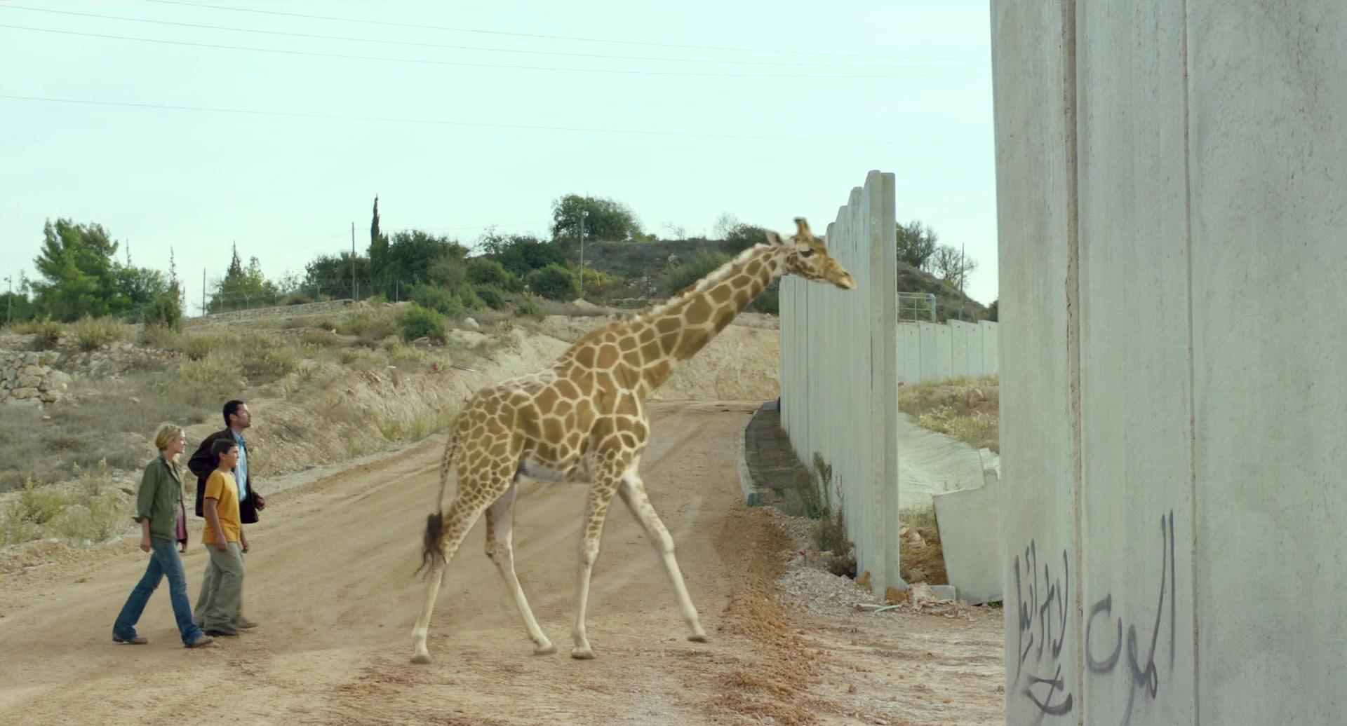 Giraffada