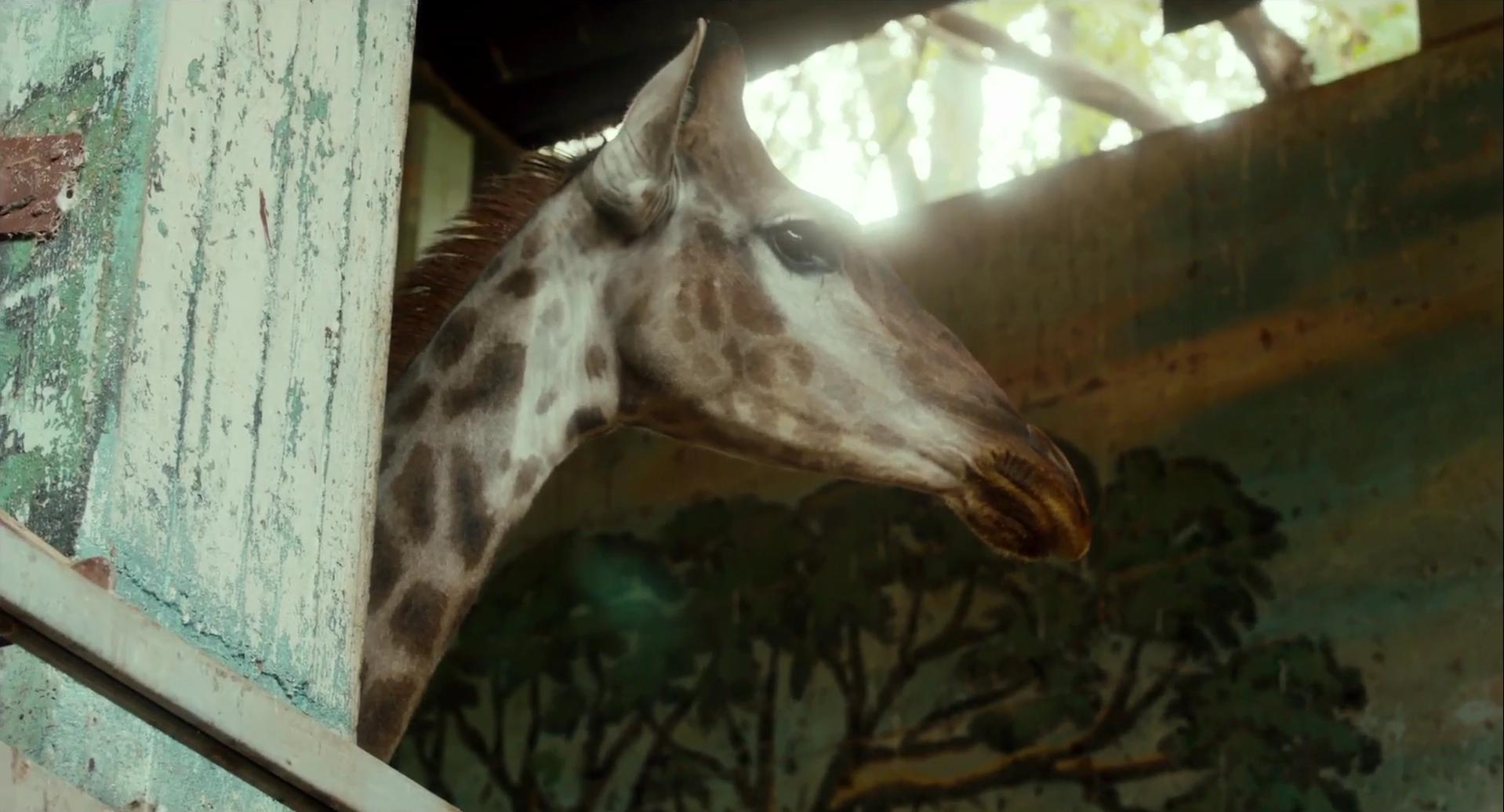 Giraffada