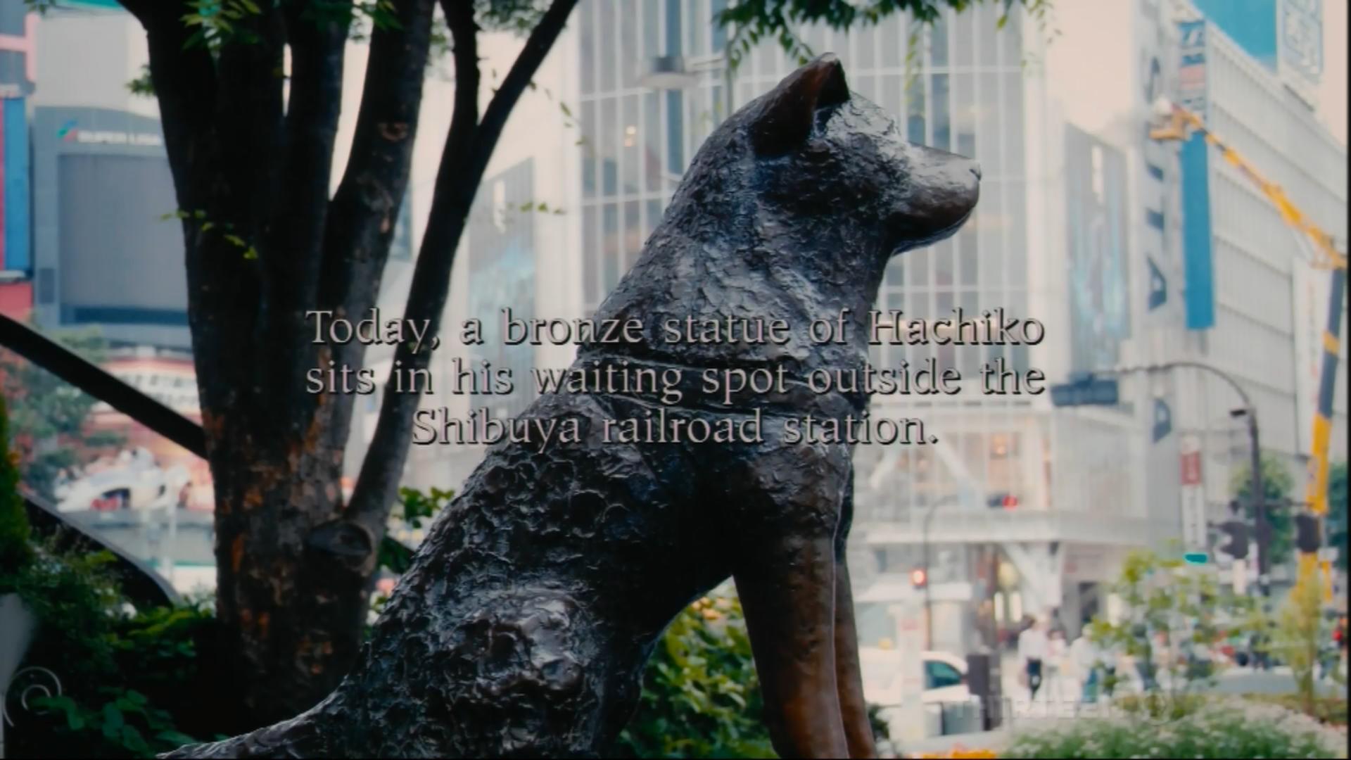 Hachiko - Eine wunderbare Freundschaft
