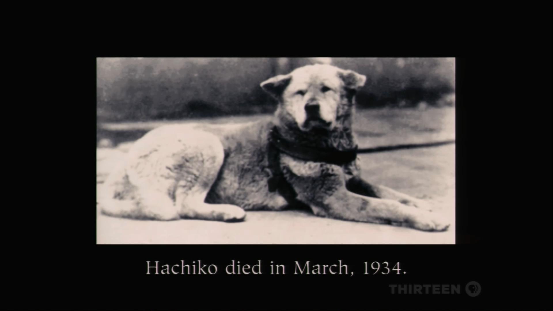 Hachiko - Eine wunderbare Freundschaft