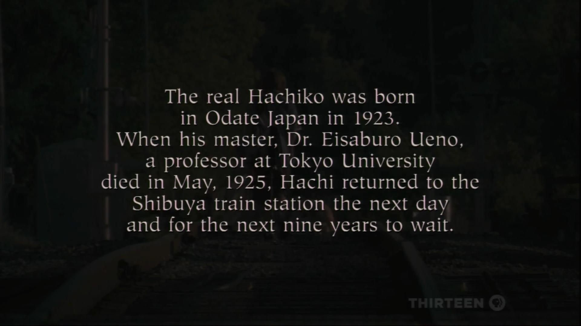 Hachiko - Eine wunderbare Freundschaft