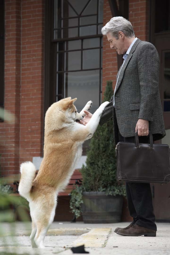Hachiko - Eine wunderbare Freundschaft