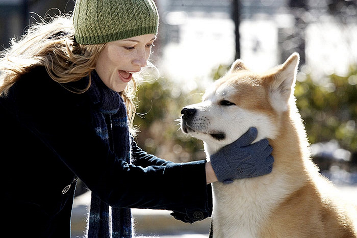 Hachiko - Eine wunderbare Freundschaft