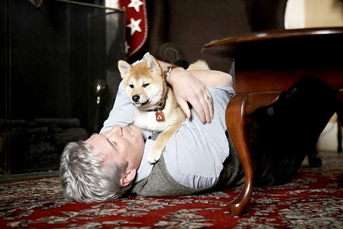 Hachiko - Eine wunderbare Freundschaft