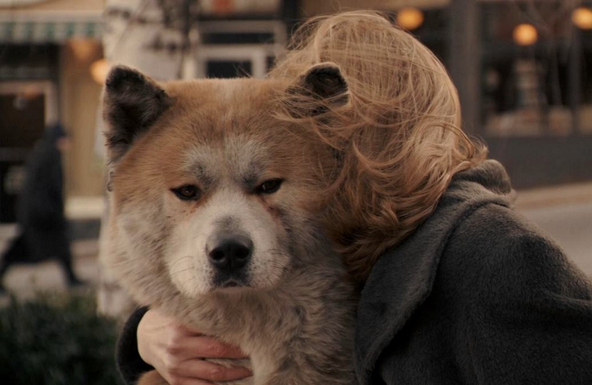 Hachiko - Eine wunderbare Freundschaft