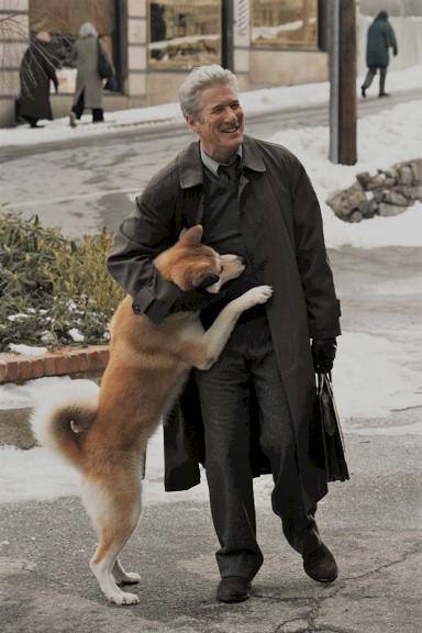 Hachiko - Eine wunderbare Freundschaft