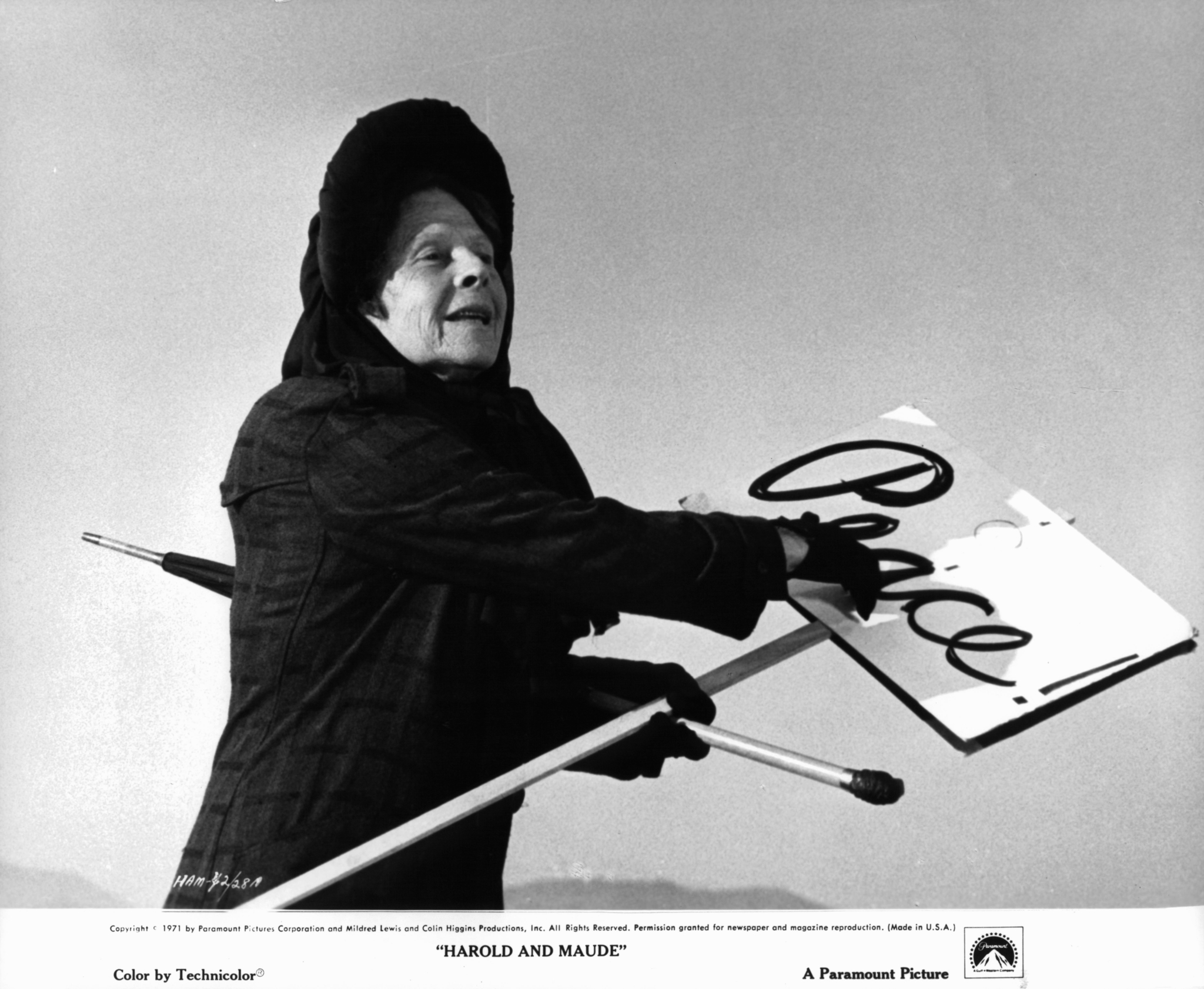 Harold und Maude