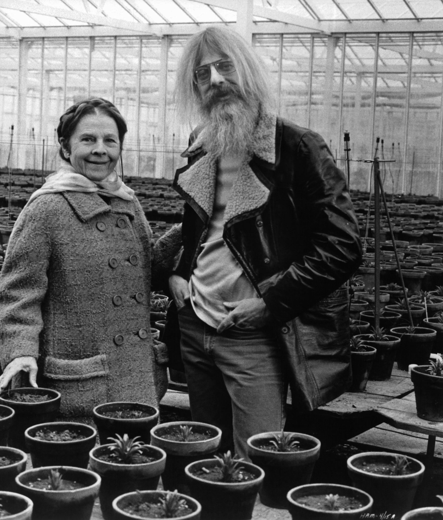 Harold und Maude