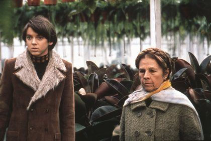 Harold und Maude