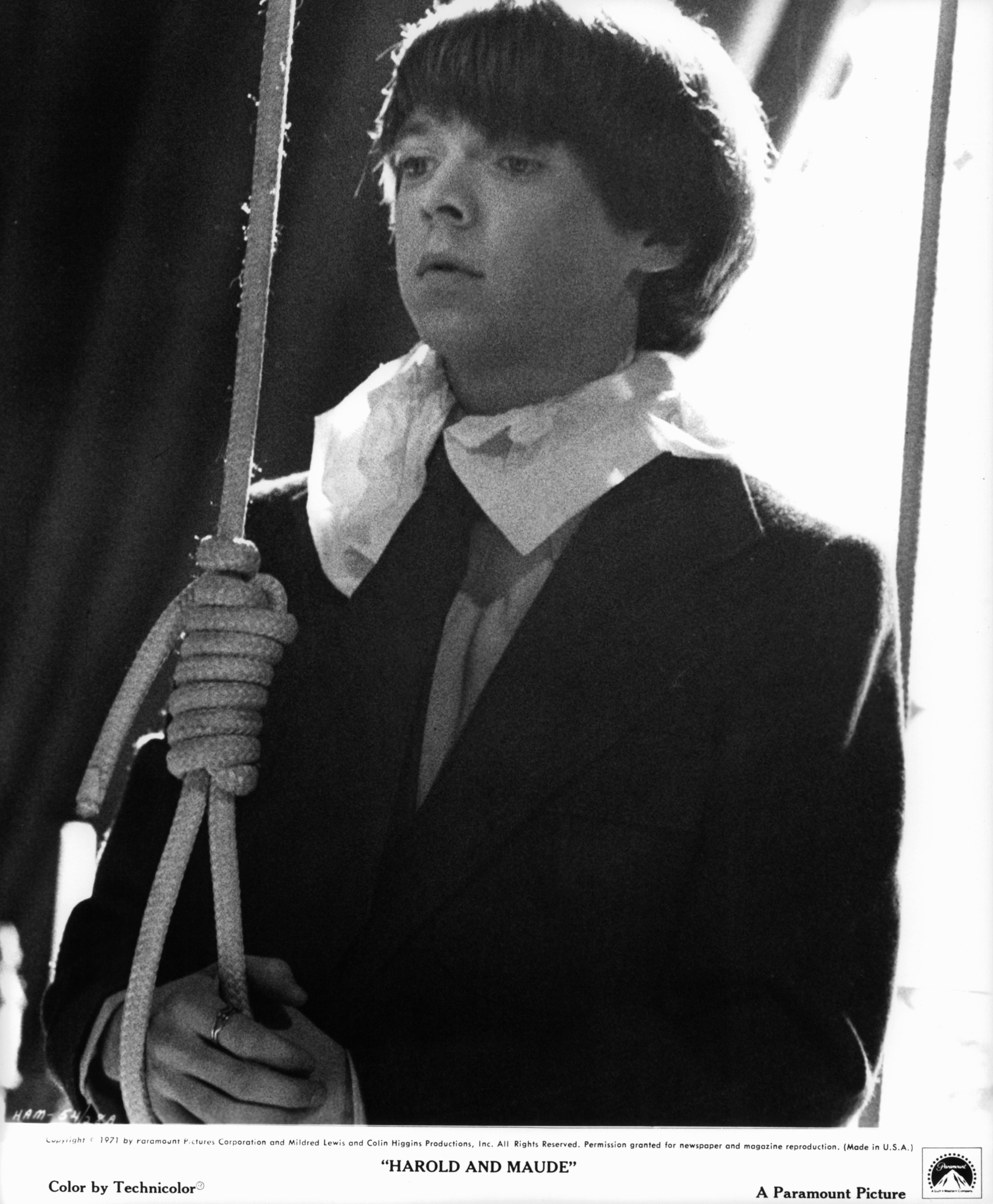 Harold und Maude