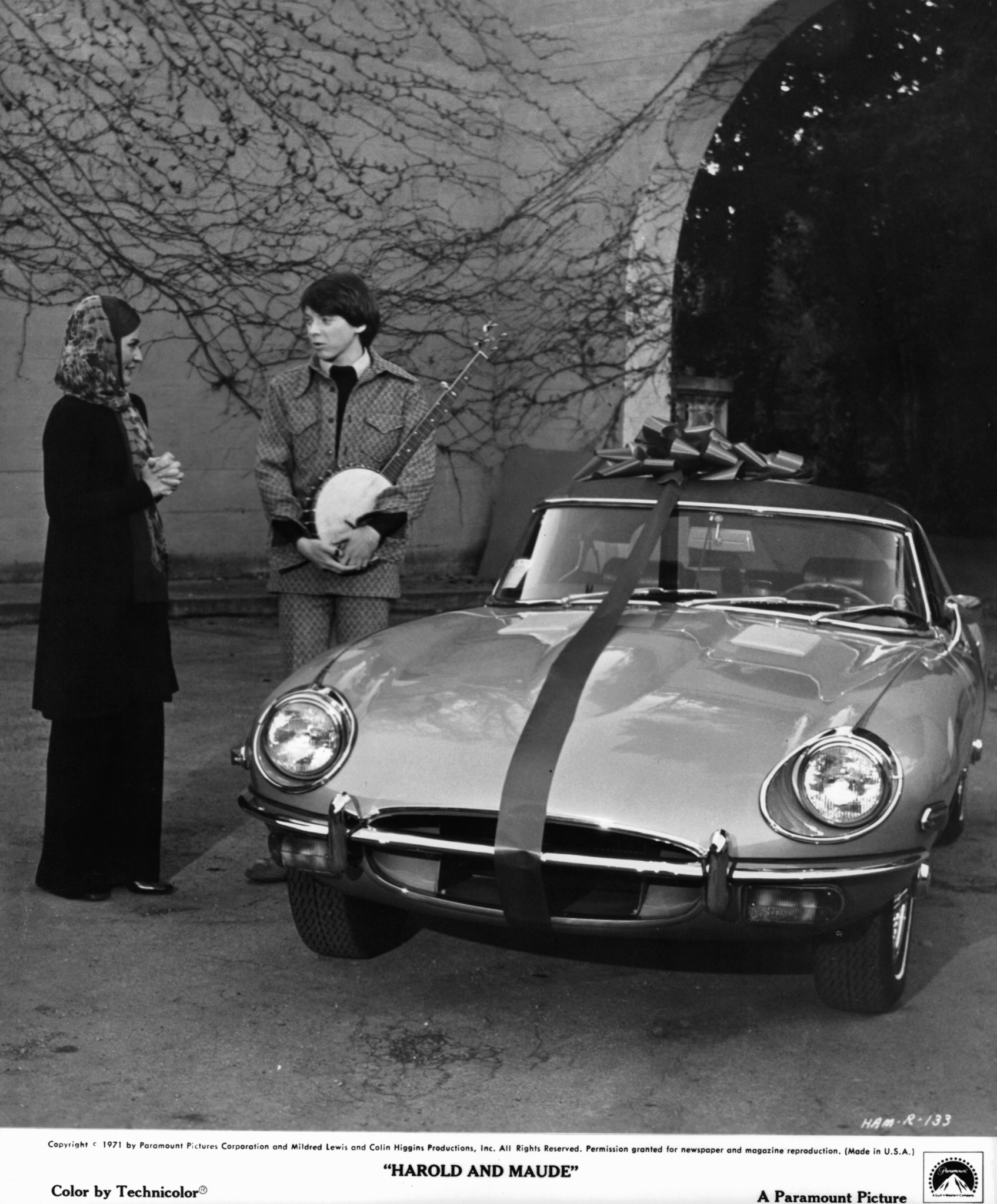 Harold und Maude
