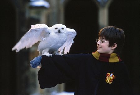 Harry Potter und der Stein der Weisen