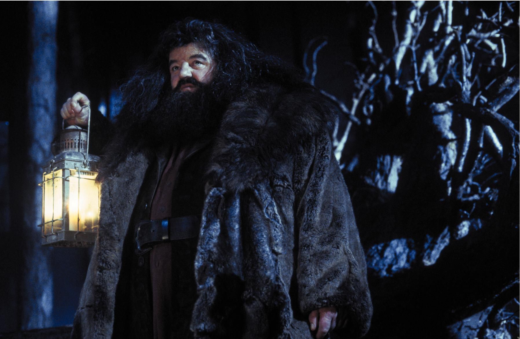 Harry Potter und der Stein der Weisen