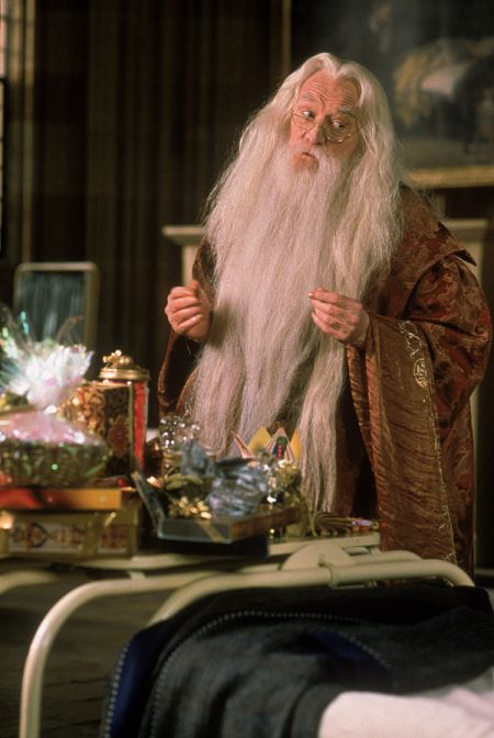 Harry Potter und der Stein der Weisen