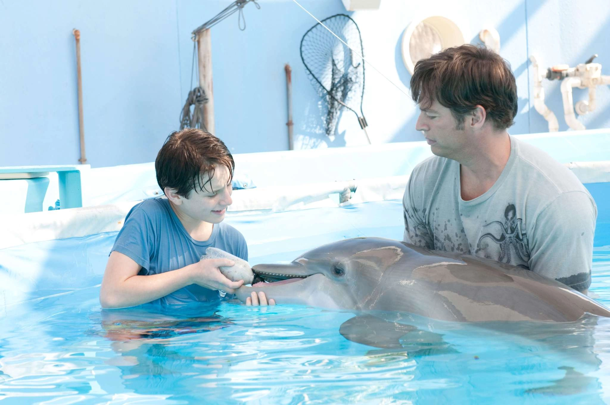 Mein Freund, der Delfin