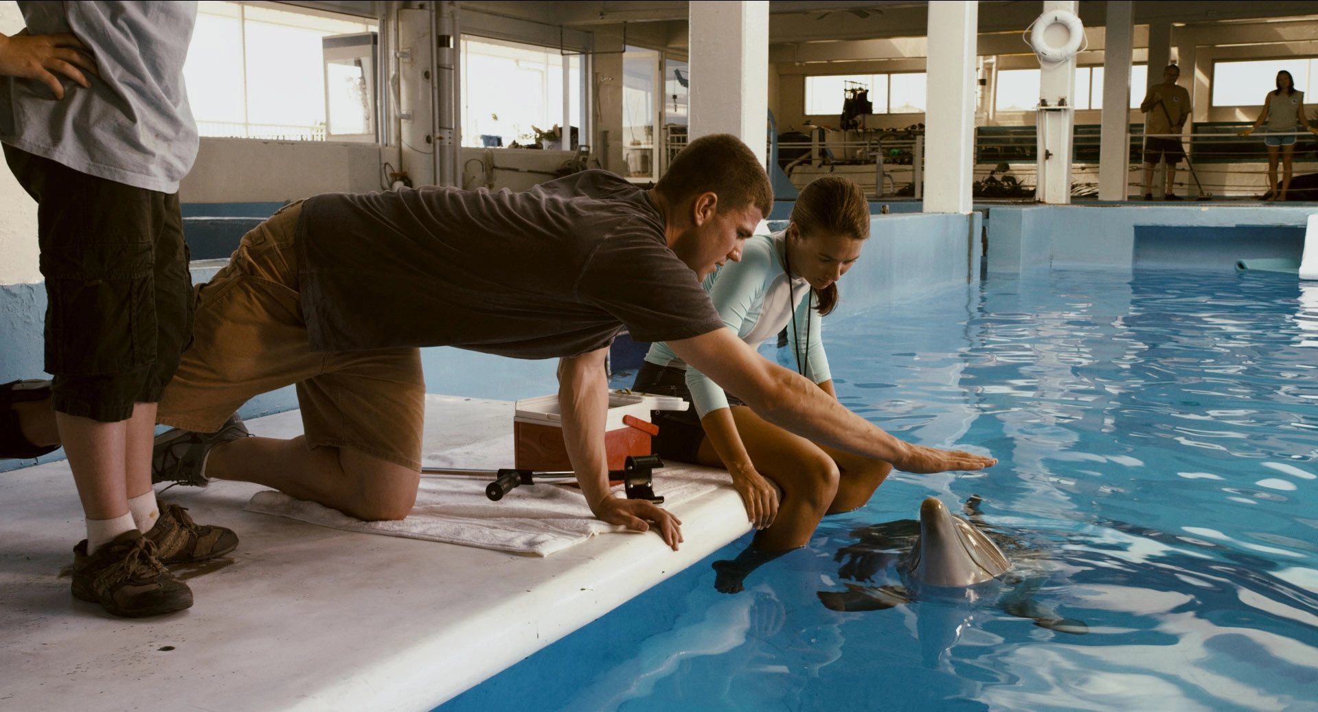 Mein Freund, der Delfin