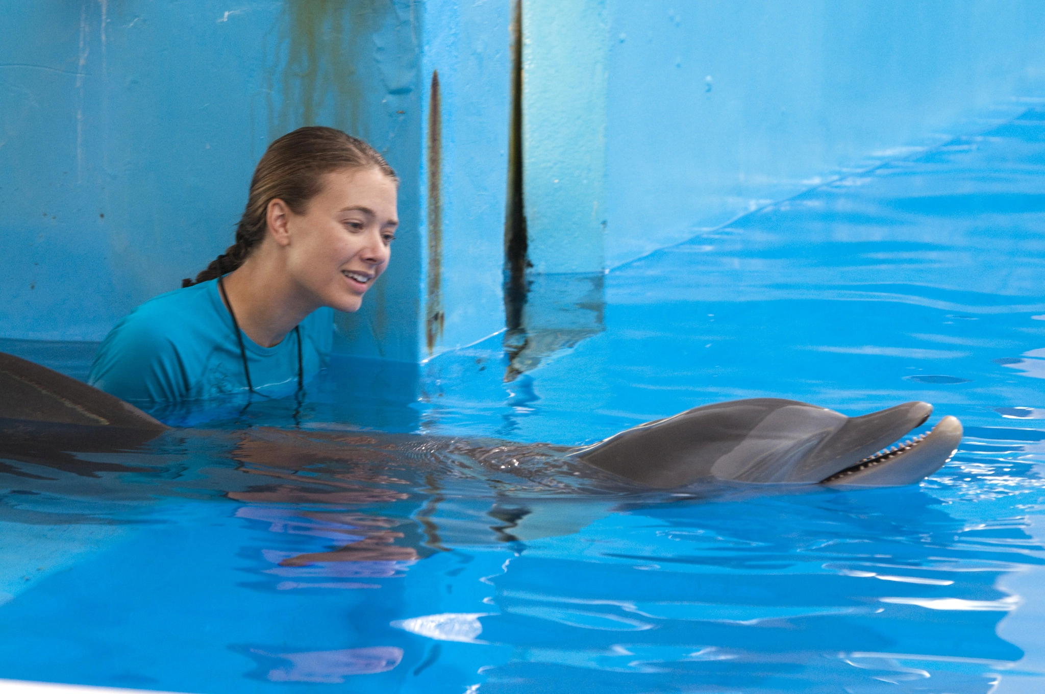 Mein Freund, der Delfin