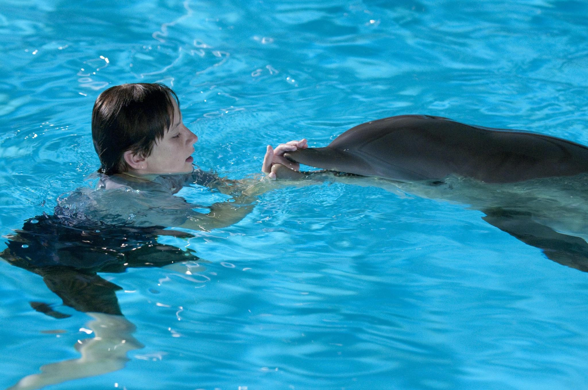 Mein Freund, der Delfin