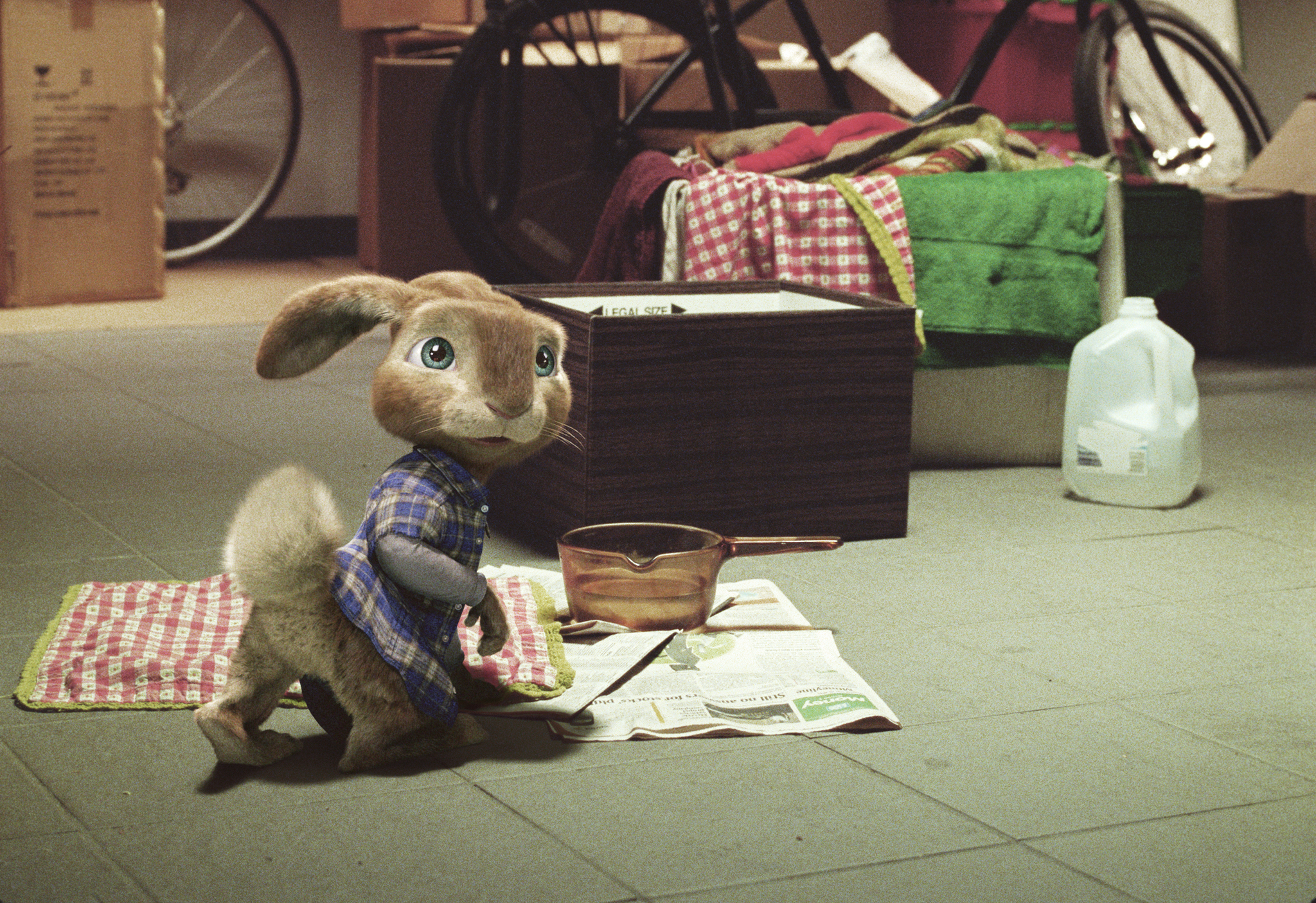 Hop - Osterhase oder Superstar?