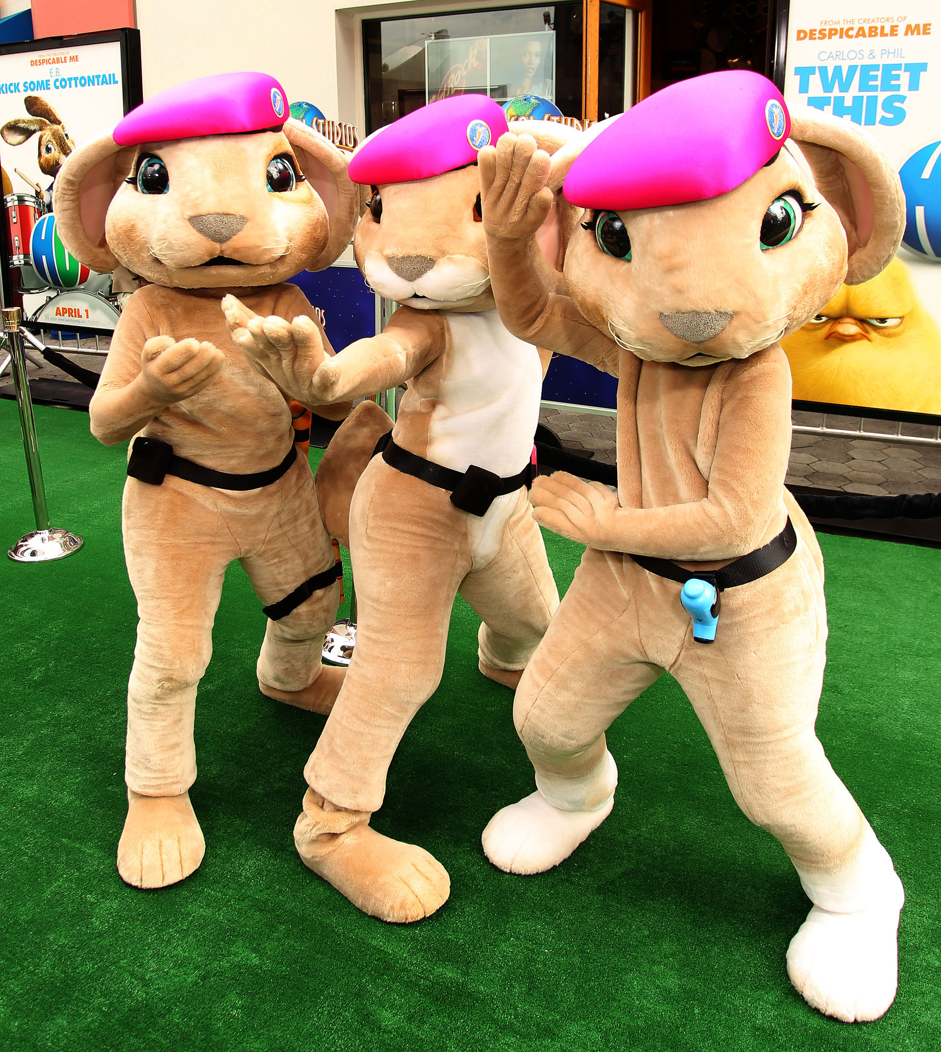 Hop - Osterhase oder Superstar?