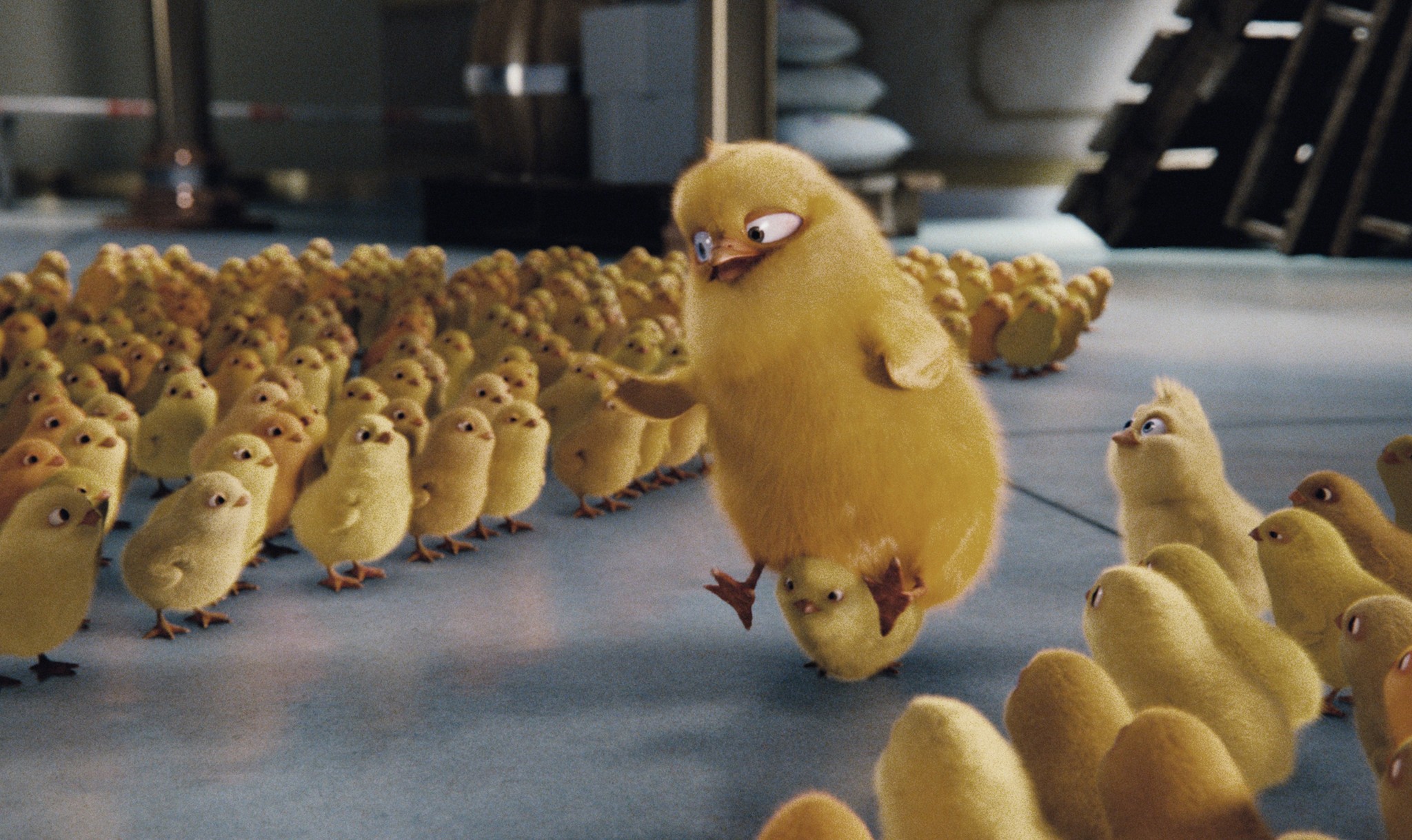 Hop - Osterhase oder Superstar?