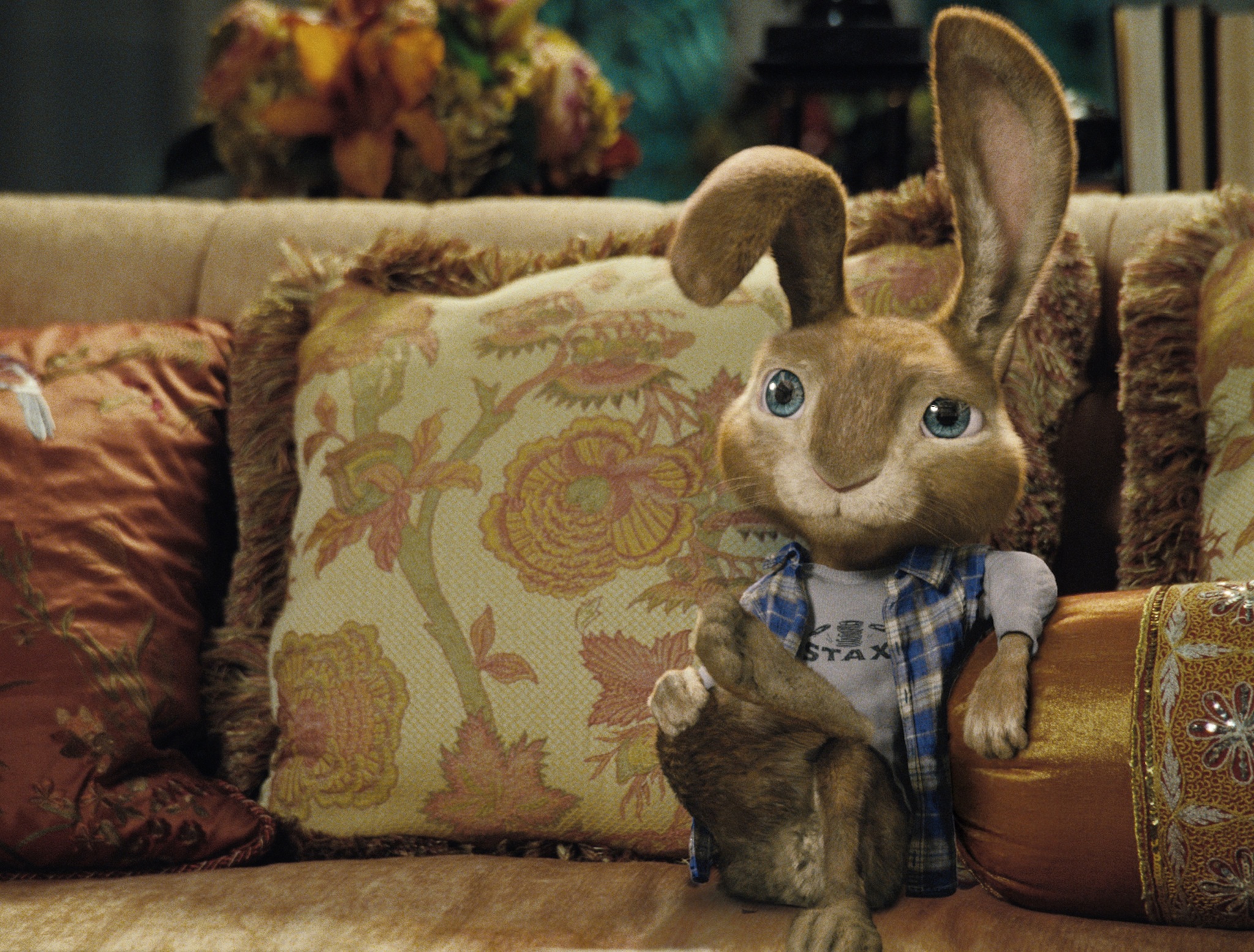 Hop - Osterhase oder Superstar?