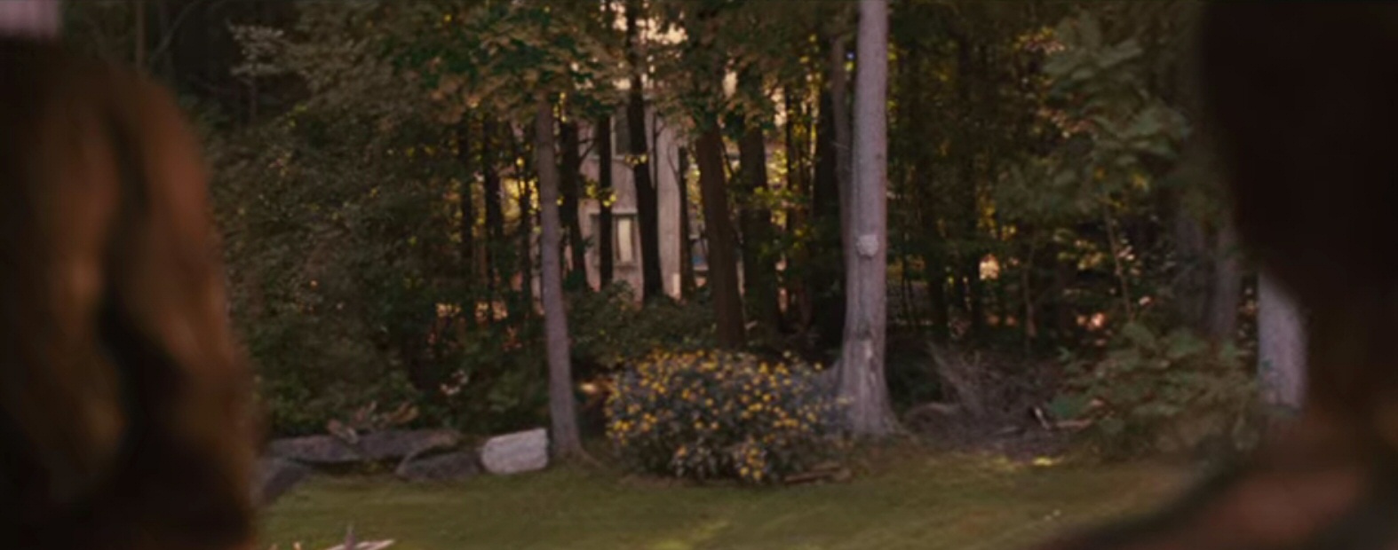 House at the End of the Street