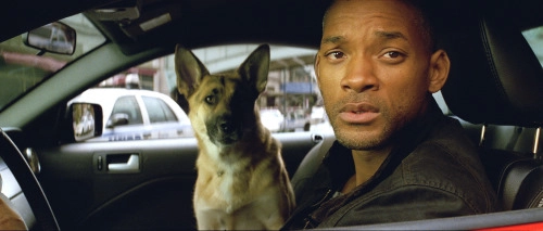 I Am Legend