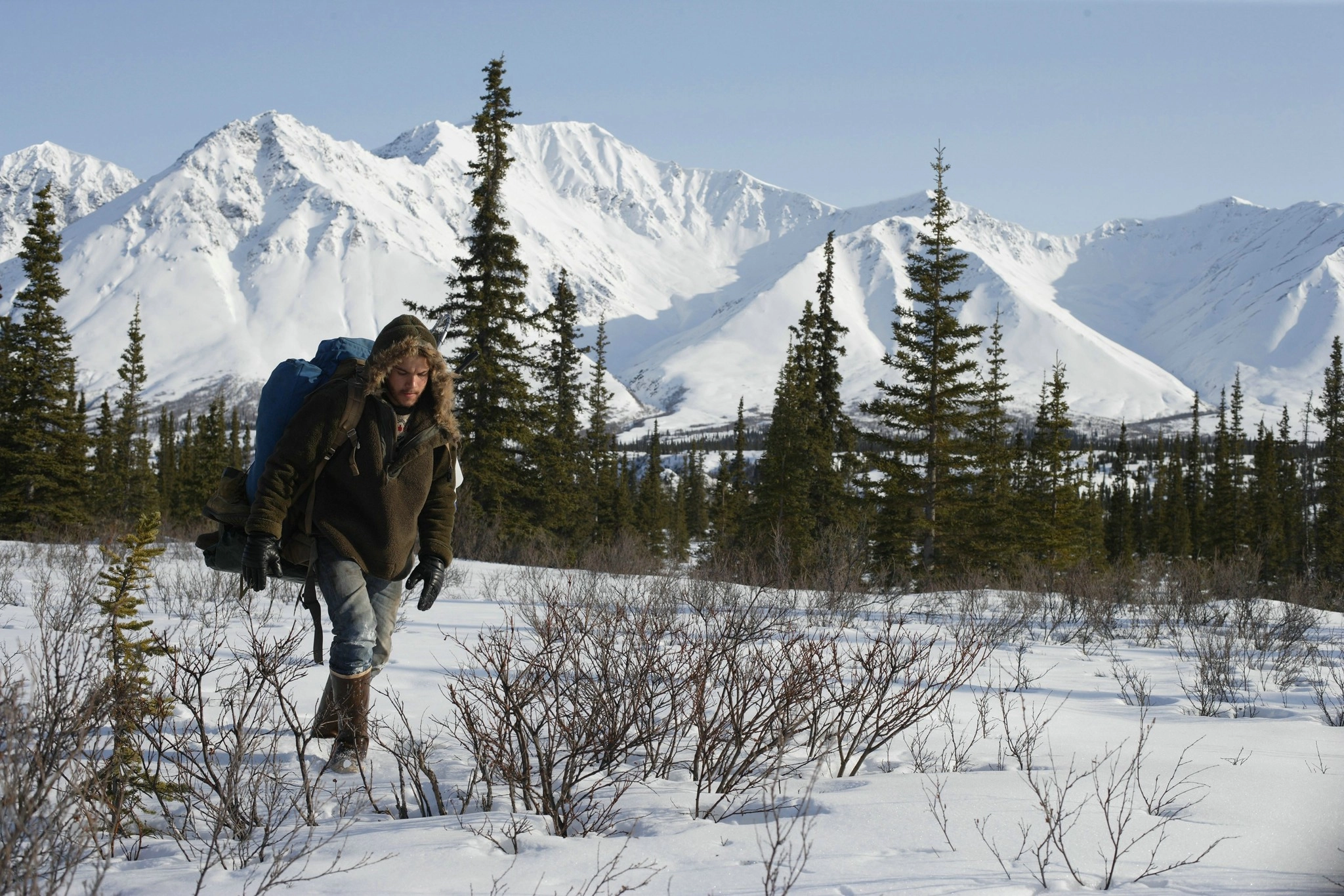 Into the Wild