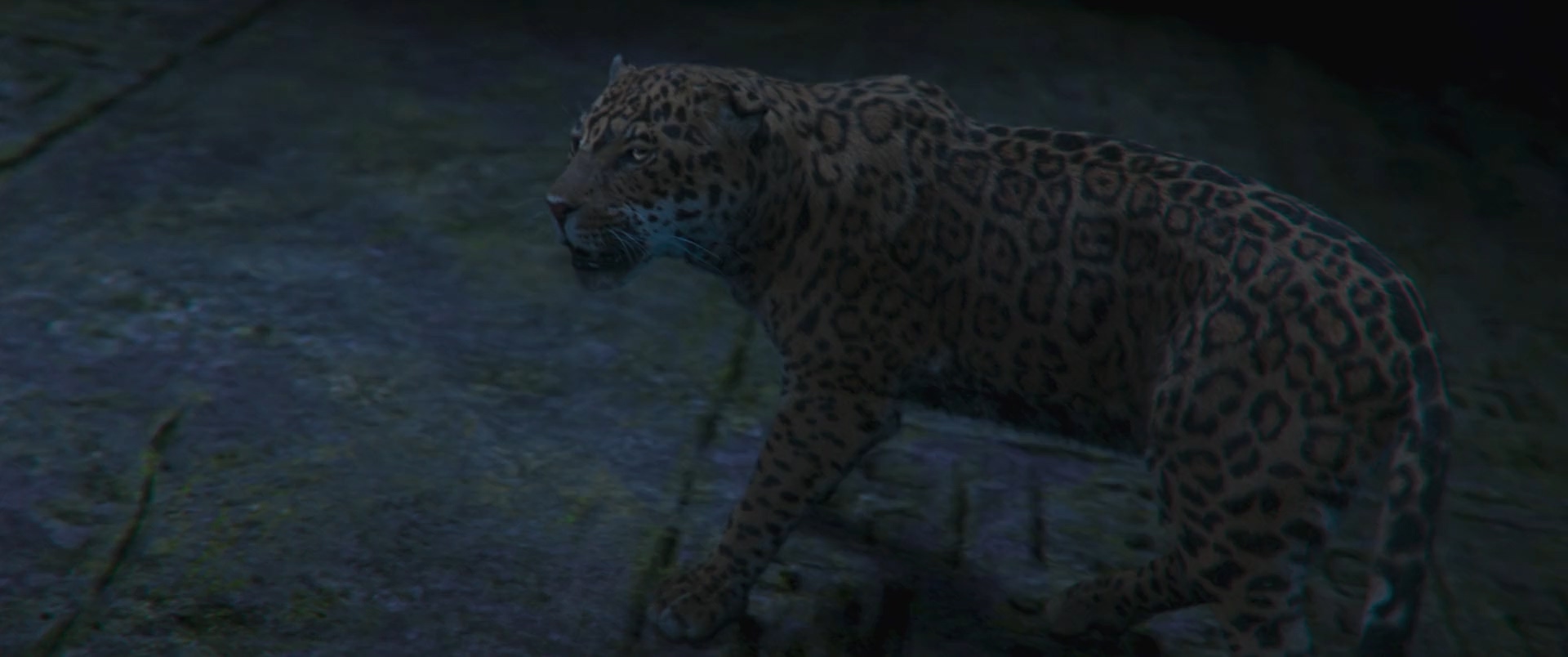 Jungle Cruise