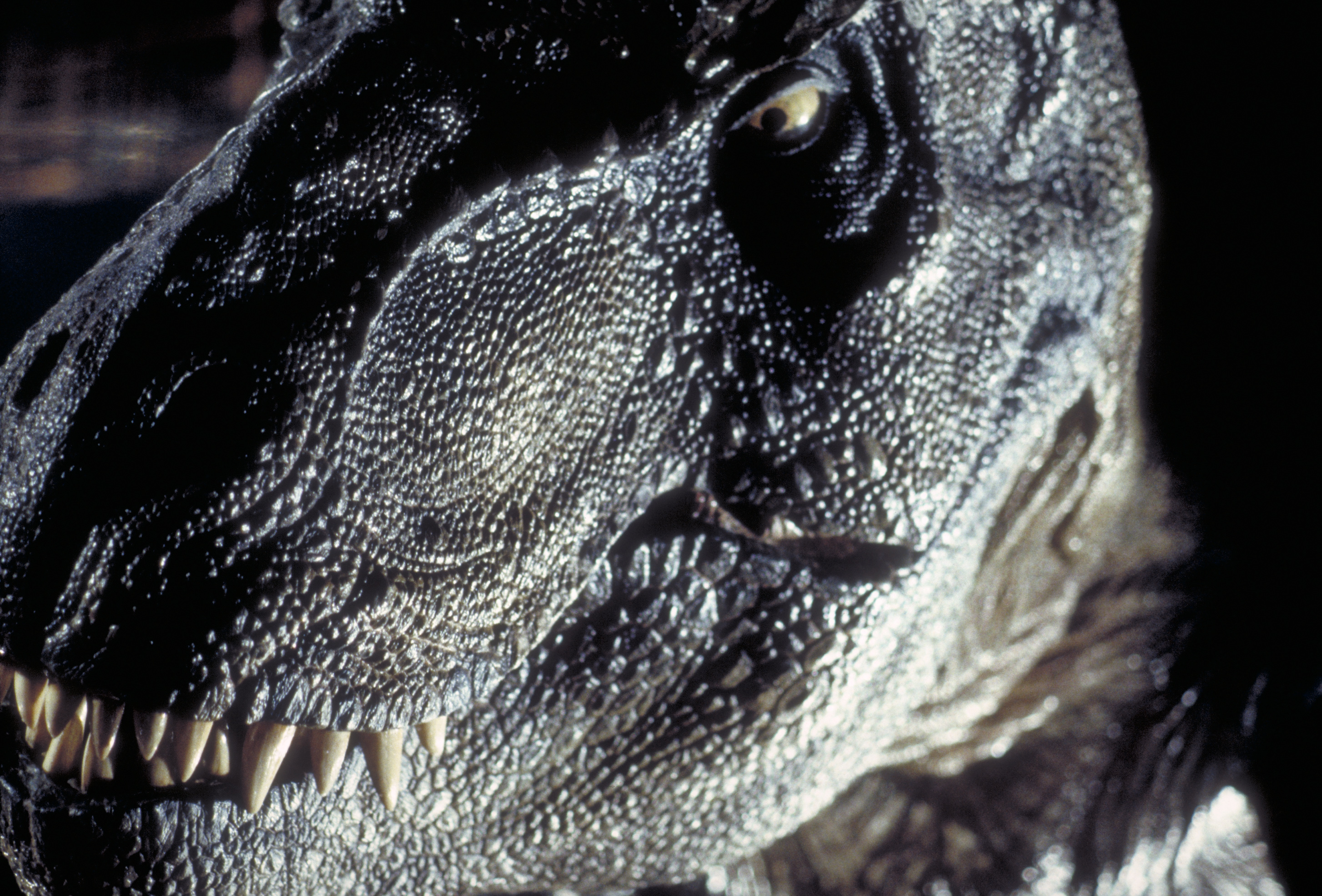 Jurassic Park