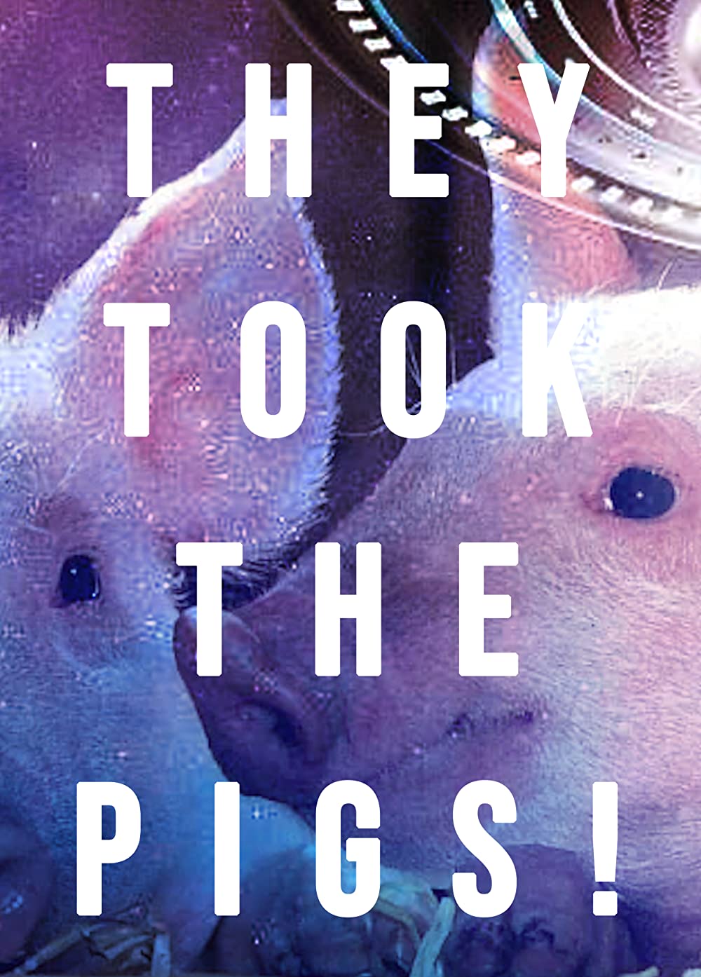 Filmbeschreibung zu Khook - The Pig