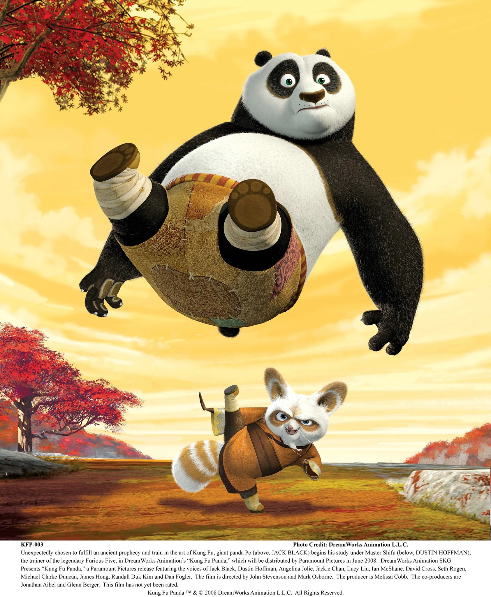 Kung Fu Panda