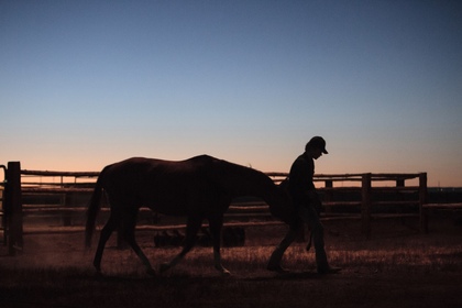 Lean on Pete (OV)