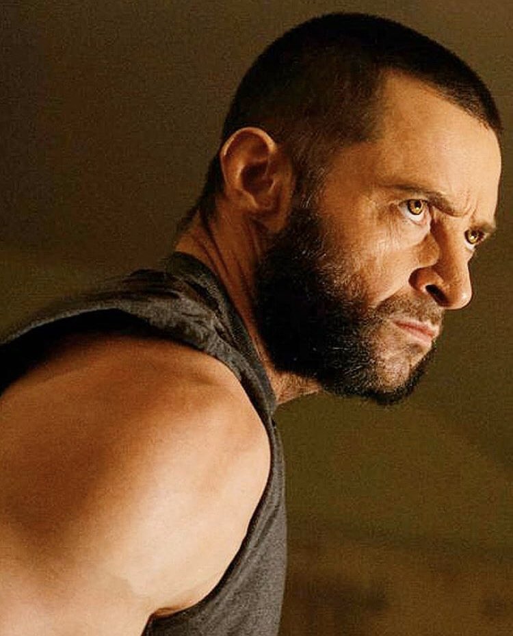 Logan - The Wolverine