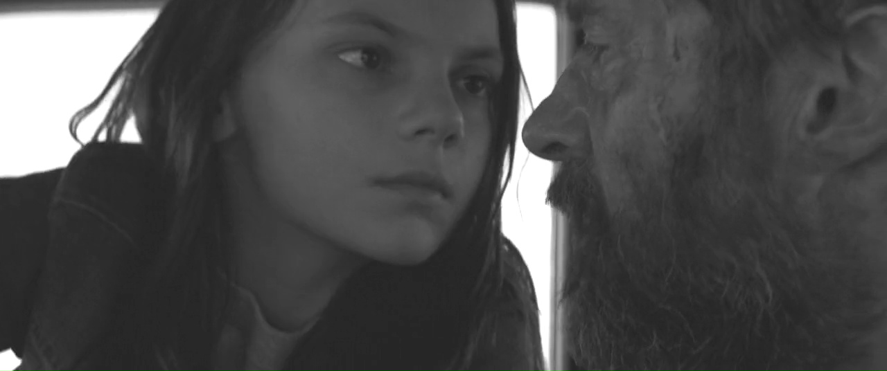 Logan - The Wolverine