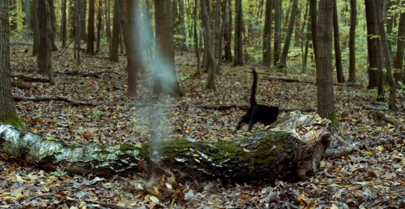 Lords of Chaos