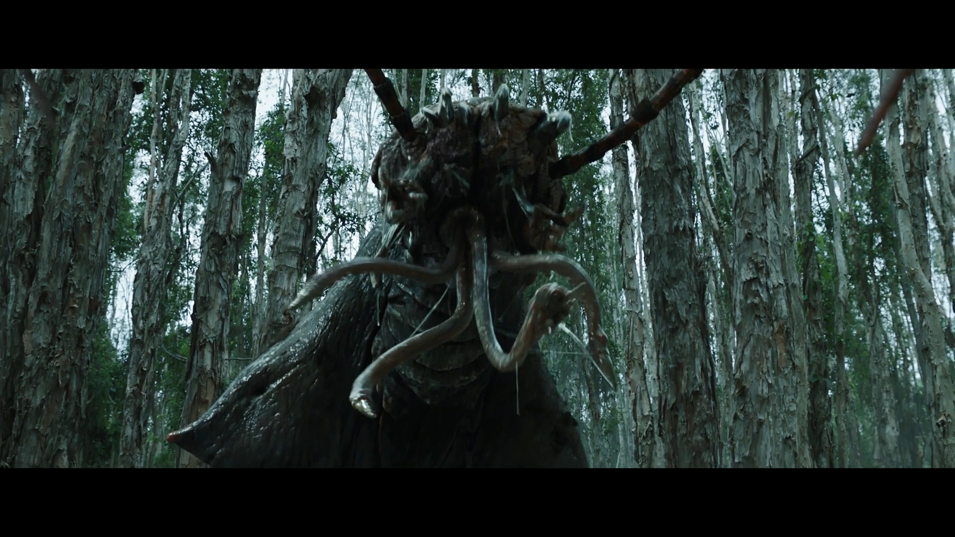 Love and Monsters