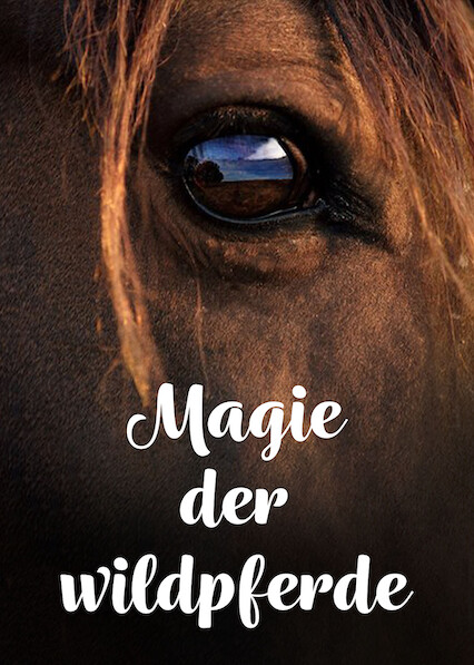 Magie der Wildpferde