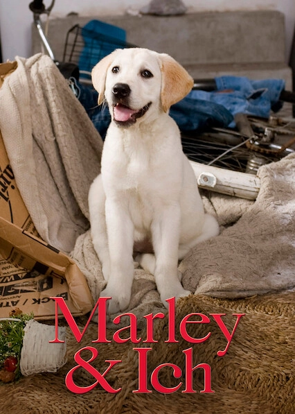 Marley & Ich