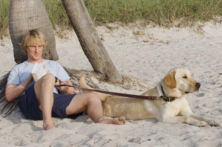 Marley & Ich