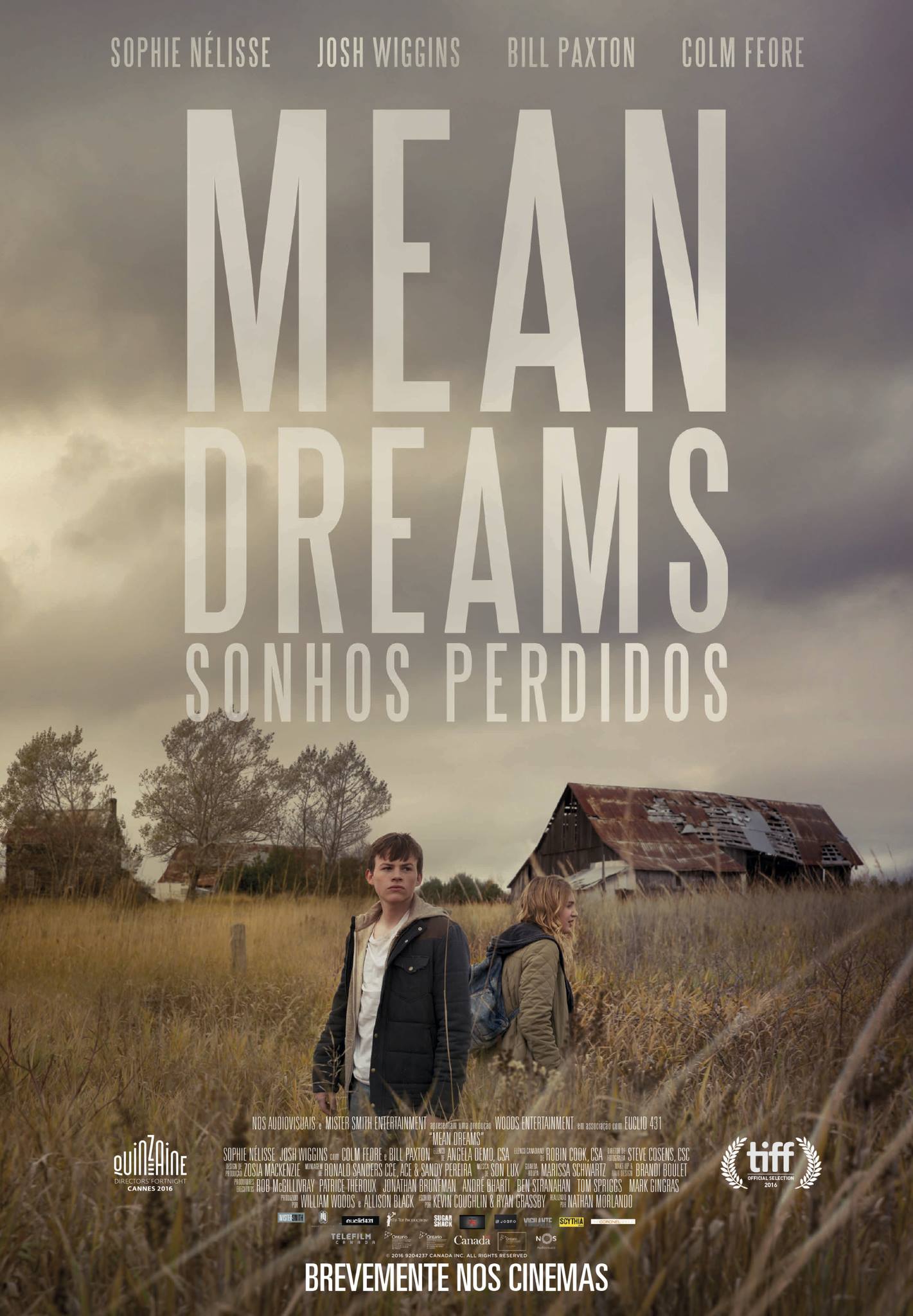 Mean Dreams