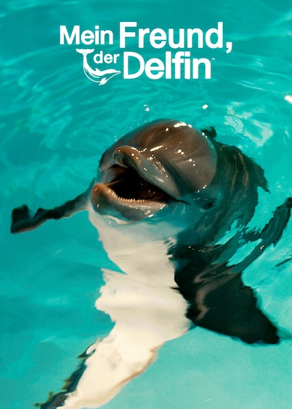 Mein Freund, der Delfin