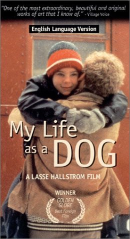Mein Leben als Hund