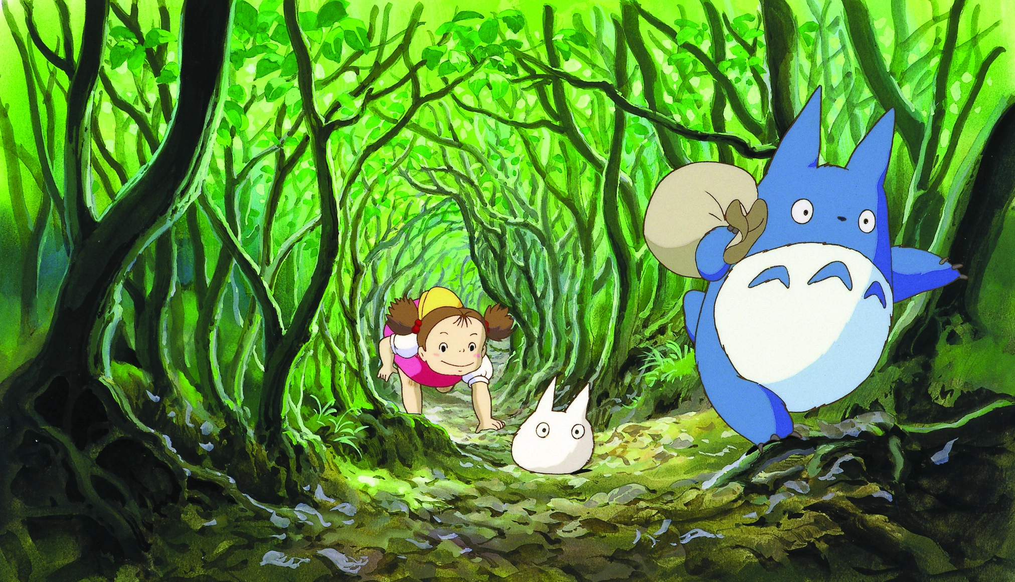 Mein Nachbar Totoro