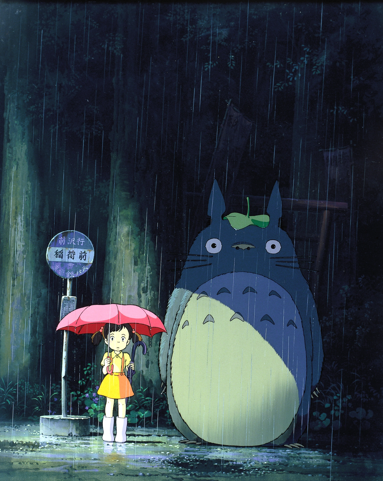 Mein Nachbar Totoro