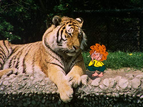 Meister Eder und sein Pumuckl