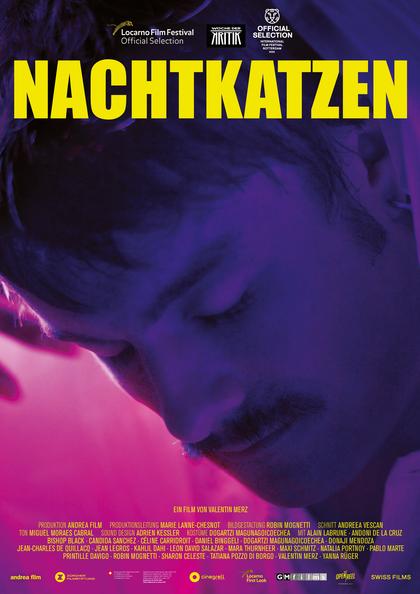 Nachtkatzen (OV)
