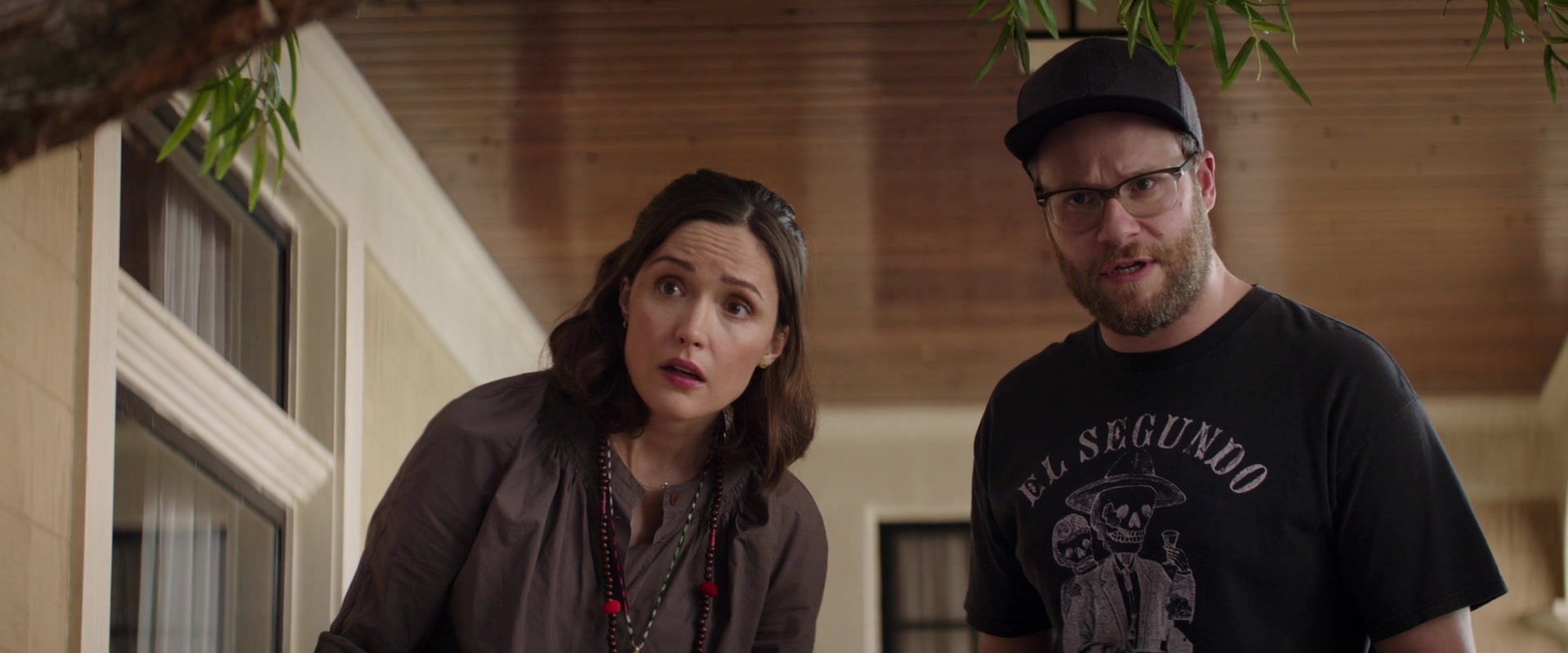 Bad Neighbors 2